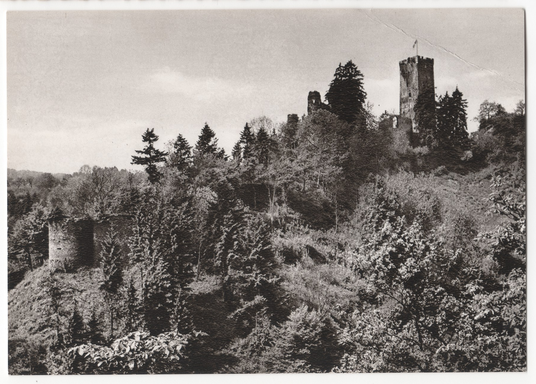 Ruine Grenzau nach 1950