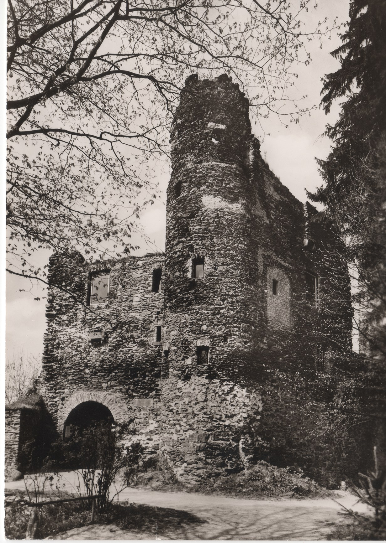 Ruine Grenzau nach 1954