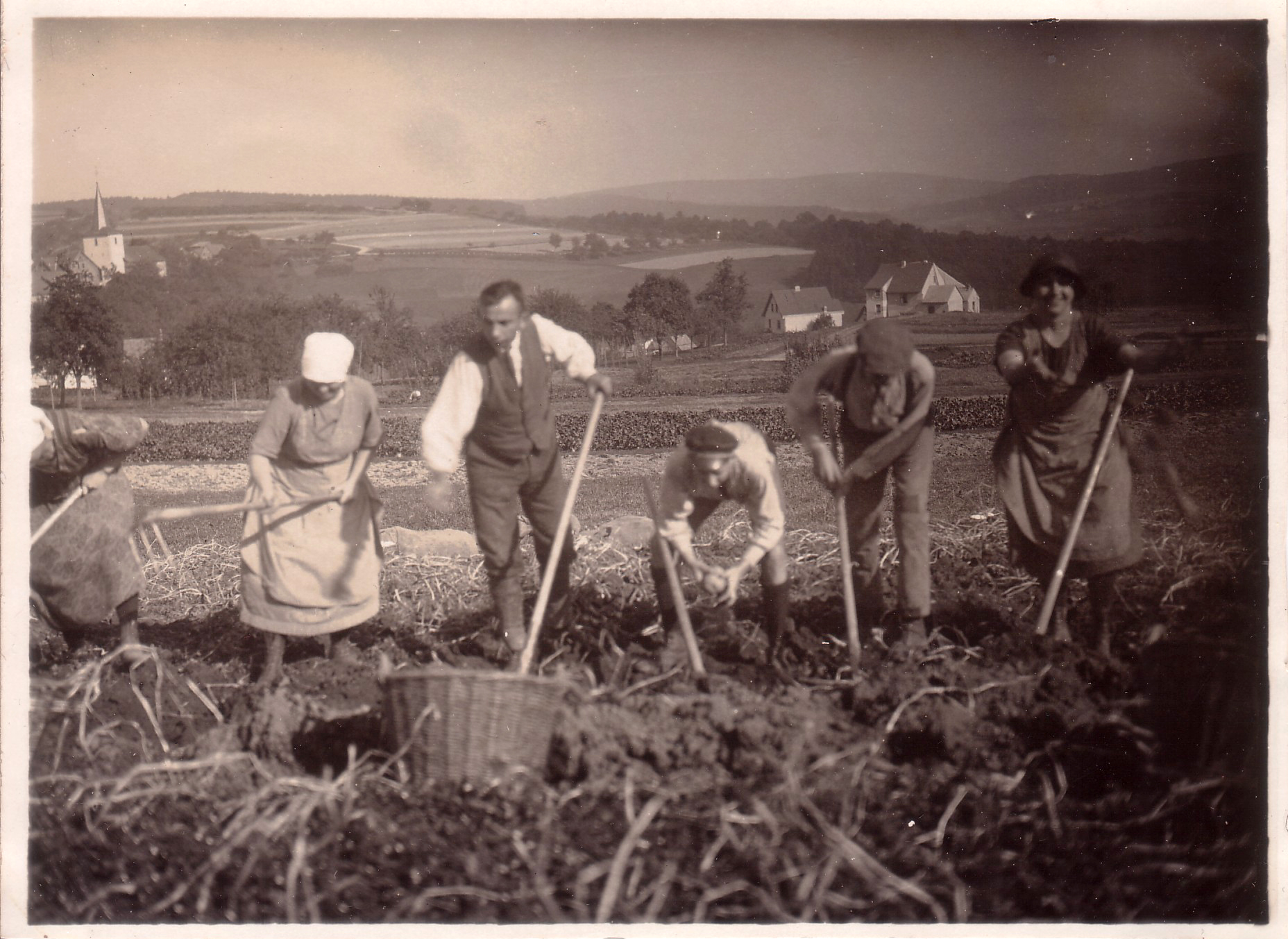 Feldarbeit um 1955